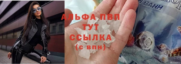 твердый Богданович