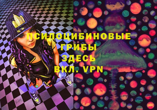 твердый Богданович