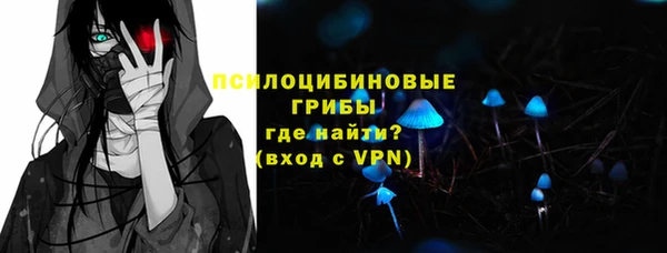 твердый Богданович