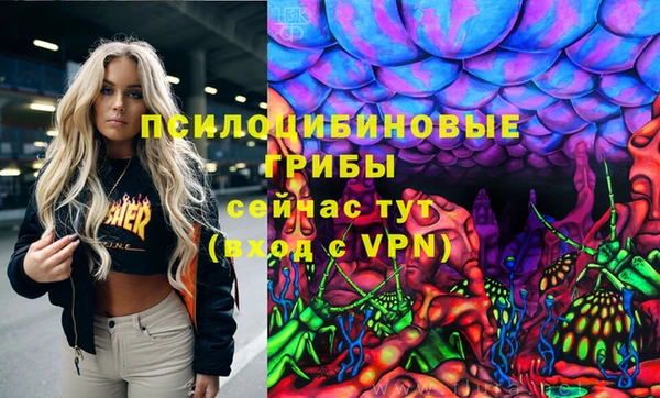 твердый Богданович
